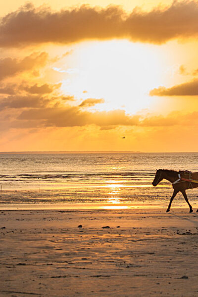 Por do Sol na Praia da Princesa - Algodoal - Pará - Brasil